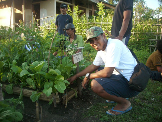 raised beds in the organic farm