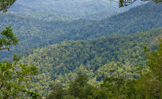 Hutan Lindung Tompotika