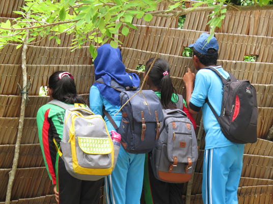 Schoolchildren watch as endangered maleos carry out their egg-laying rituals.