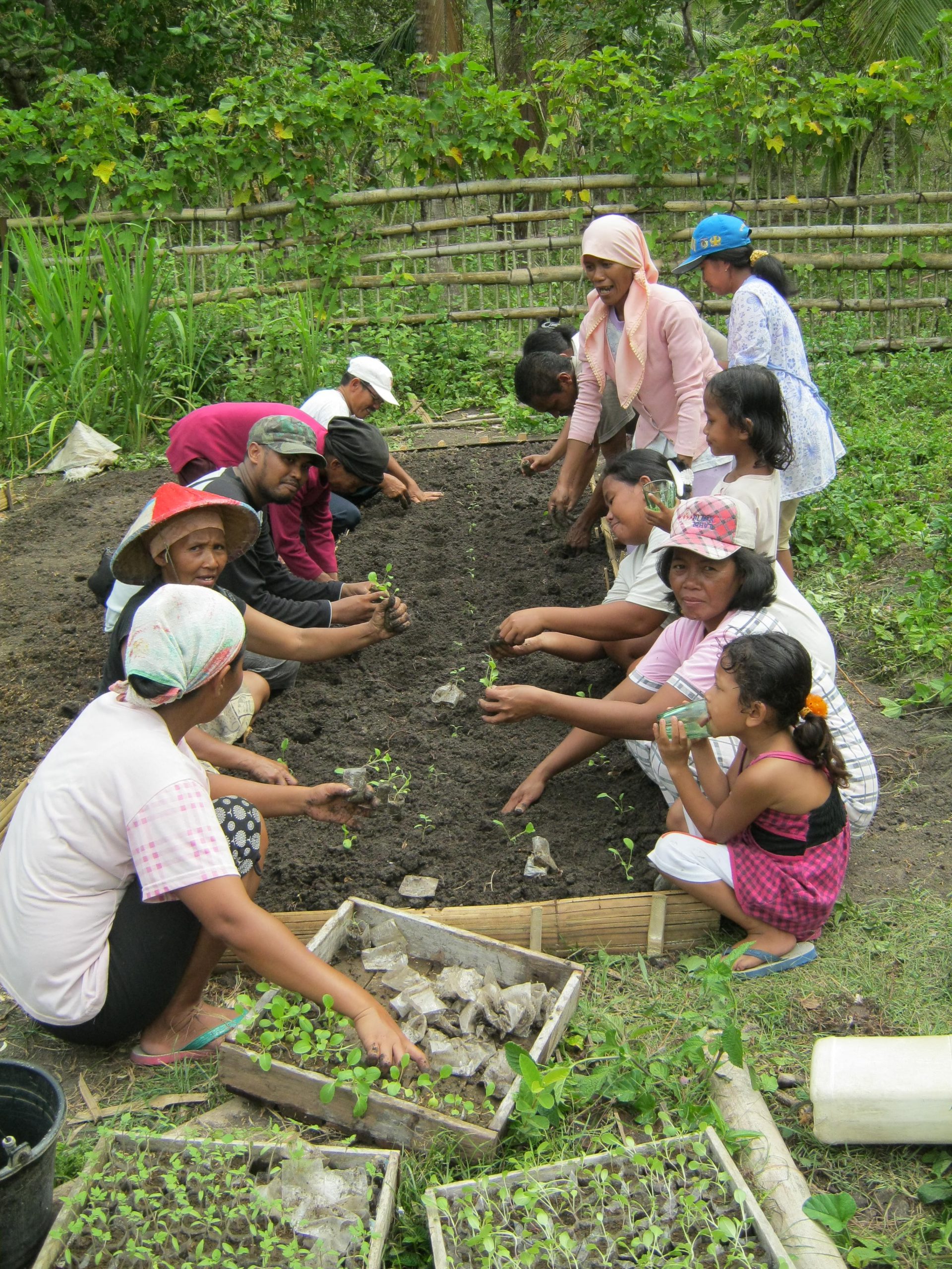 Penanaman sampaka