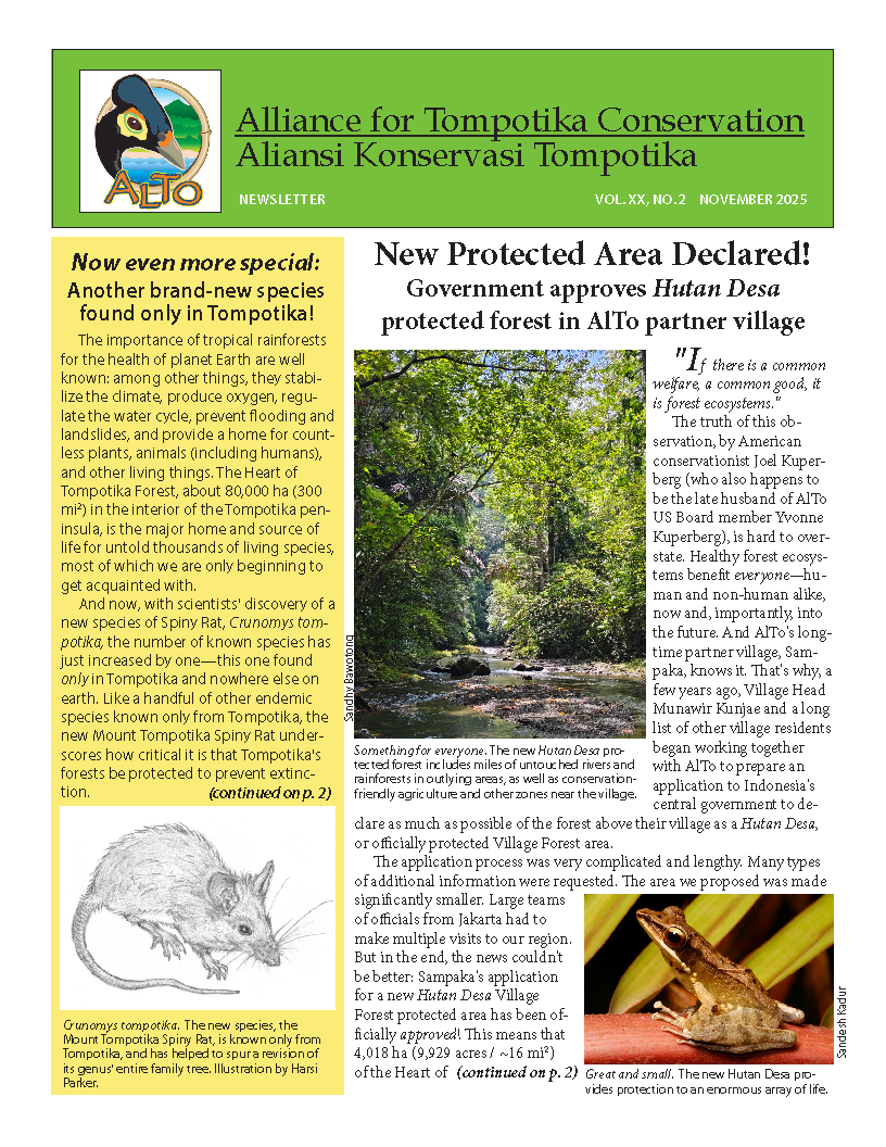 AlTo Newsletter November 2025